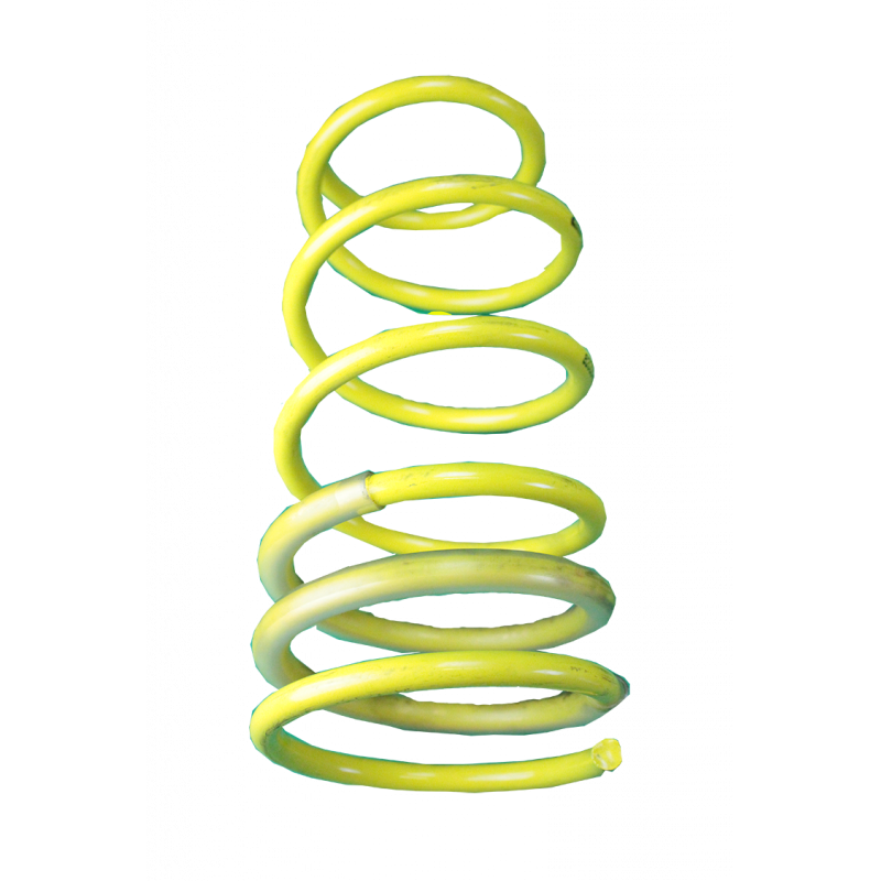 Ressort suspension avant kit trophy Clio 2 RS