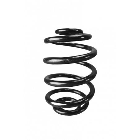 Ressort amortisseur Ar clio 2 RS