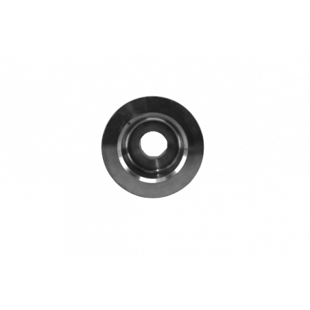 Poulie Alternateur Métal Clio 2 RS Clio 3 RS