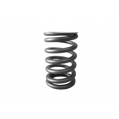 Ressort de soupape Clio 2 RS y compris Gr N et X65 Cup