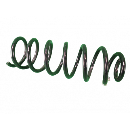 Ressort Arriere Megane 2 RS Chassis standard