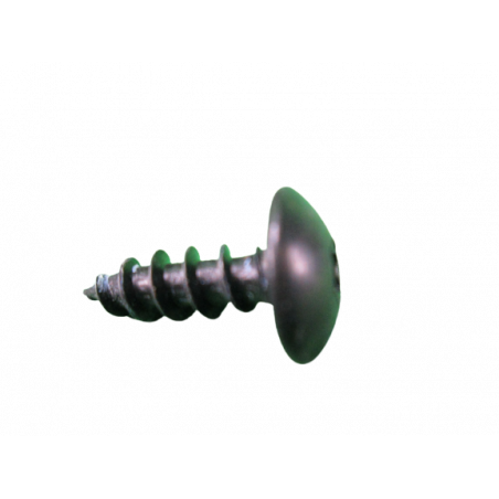 Vis RLX 5x15C Mat Twingo 2 RS y compris R1 et R2