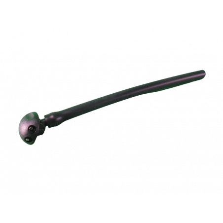 Gicleur lave glave droit Twingo 2