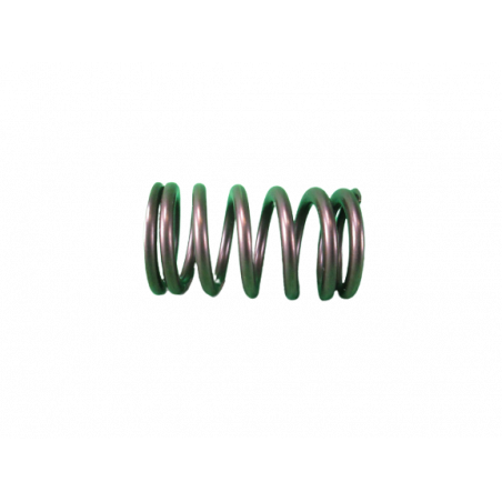 Ressort de soupapes Clio 3 RS y compris X85 Cup et R3 Max 230 - Megane 3 RS