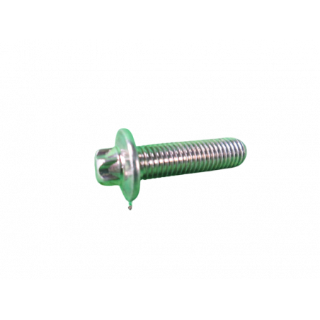 Vis de pompe à eau Clio 2 RS y compris X65Cup et Gr N