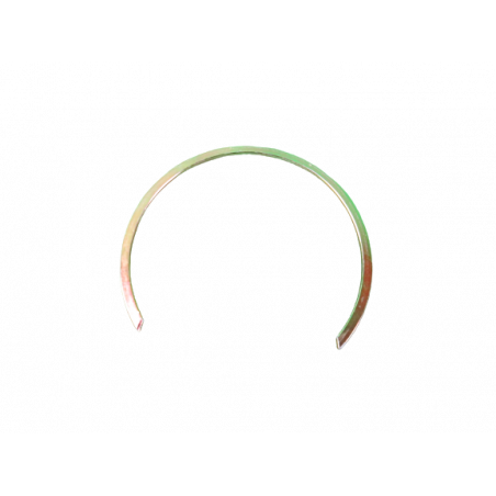 Circlips fond de jambe de force Megane N4