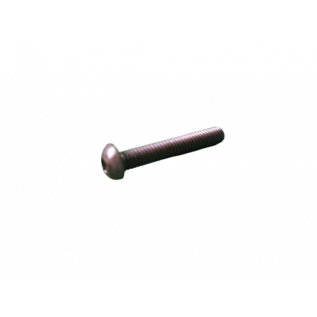 Vis CBHC M4-25 fixation ecran protection canister/pompe Megane N4