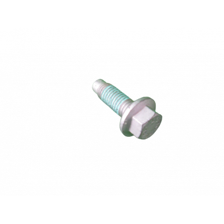 Vis HM10-30 CL 10.9 7703102056