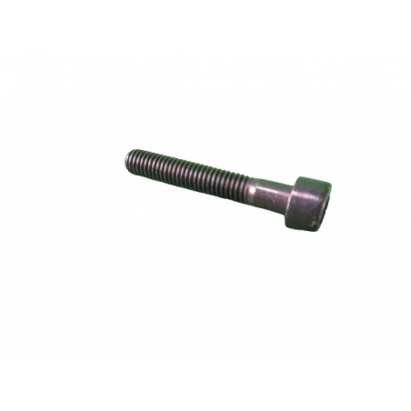 Vis CHC M5-30 cl:8.8 zingué noir Twingo R2