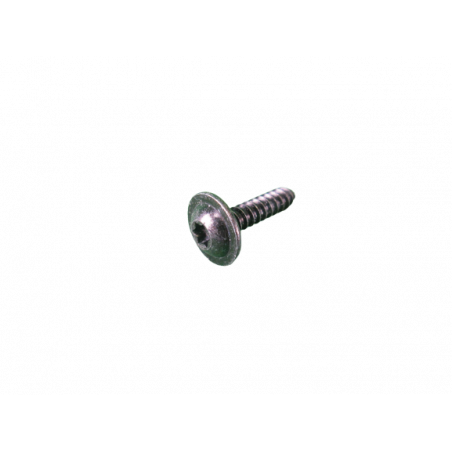 Vis de fixation de guide vitre Twingo 2 RS