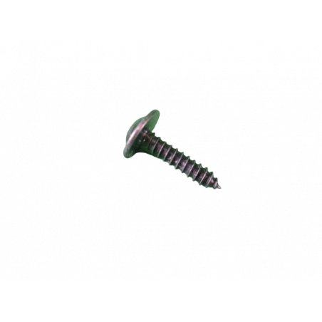 Vis de fixation de guide vitre Twingo 2 RS