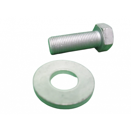 Vis Axe Pivot - Megane 2 RS (Fixation Pivot)