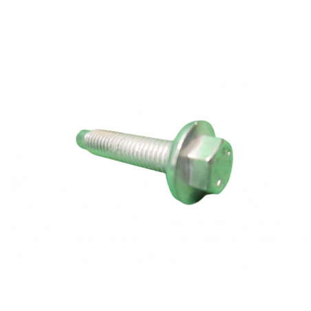 Vis fixation plénum sur collecteur Twingo 2 RS