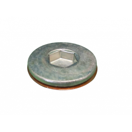 Bouchon de poulie de dephasage Clio 2 RS