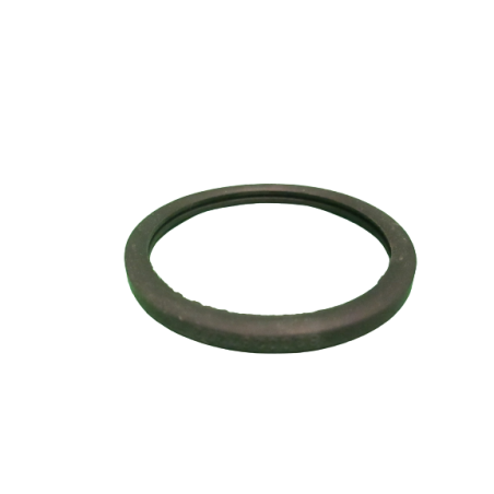 Joint de calorstat Clio 2 RS Megane 2 RS