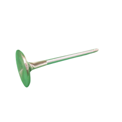 Forged Intake Valve