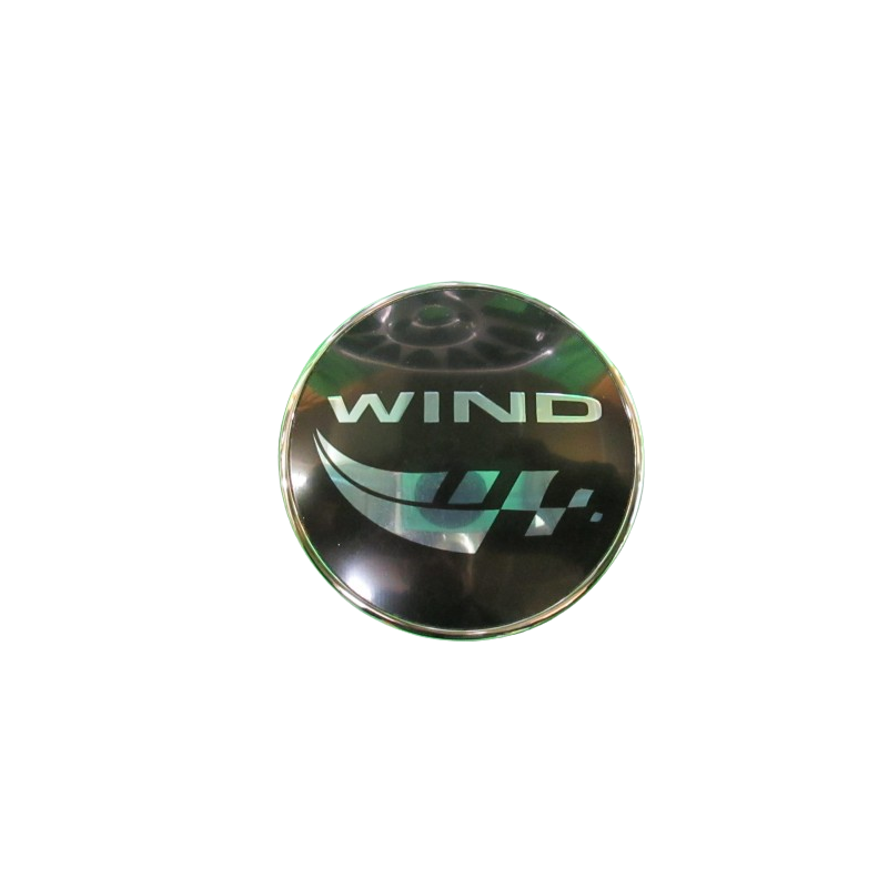 Logo latéral Renault Wind