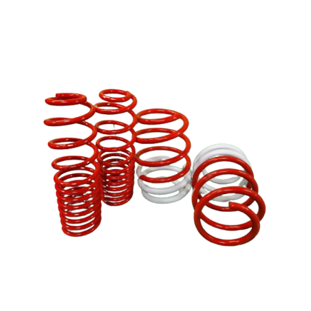 Ressorts Courts AST SUSPENSION Renault Megane 2 RS