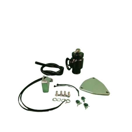 Dump valve Turbosmart Renault Megane 3 RS