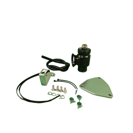 Dump valve Turbosmart Renault Megane 3 RS |