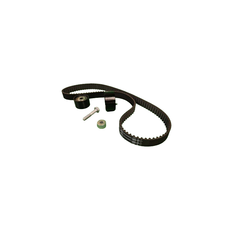 Kit distribution Megane 3 RS Origine Renault Qualité & Longévité