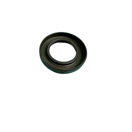 Joint spi AAC Clio Williams