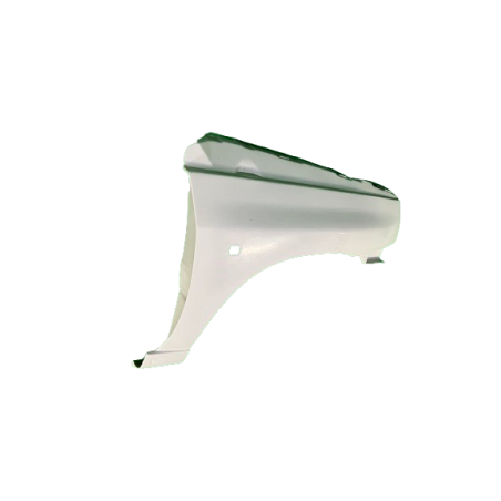 Paire d'ailes en fibre de Clio 16S et Williams