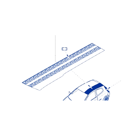 Bandes Gordini pavillon Clio 3 RS