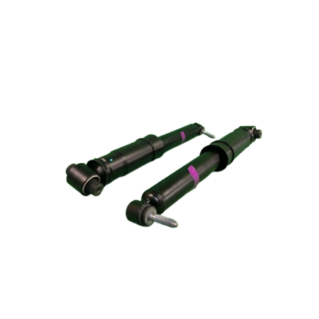 Amortisseurs Arrieres Origine Megane 2 RS R25 / R26 / Trophy ( la paire )