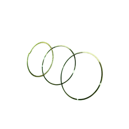 Segment racleur Twingo 2 RS