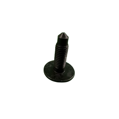 Genuine Renault Exhaust Tip Shield Screw - Clio 3 RS