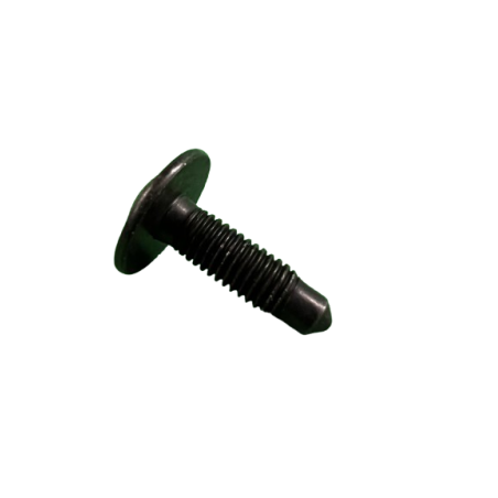 Genuine Renault Exhaust Tip Shield Screw - Clio 3 RS