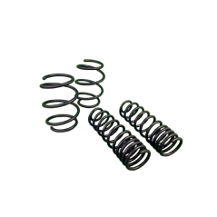 H&R Lowering Spring Kit -25/-25 mm Renault Mégane 2 RS