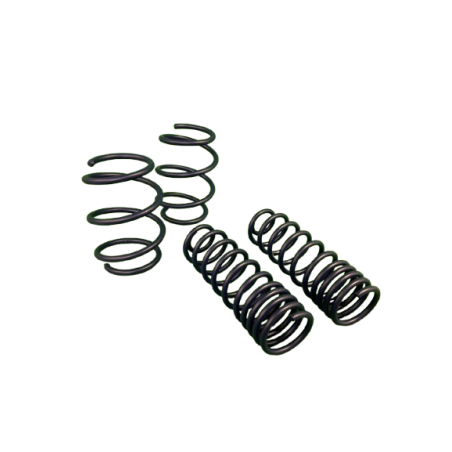 Kit Ressorts H&R -25/-25 Megane 2 RS