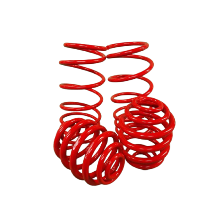 Kit ressorts courts eibach sportline -45/-30 clio 2 RS