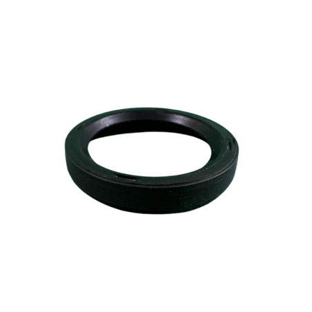 Joint spi d'électrovanne de déphasage Clio 2 RS, Clio 3 RS & Mégane 3 RS