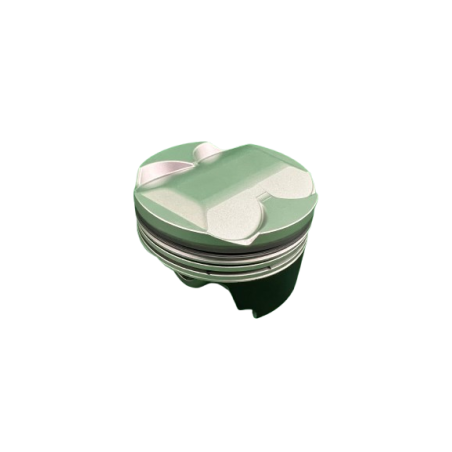 Piston Twingo R2 195