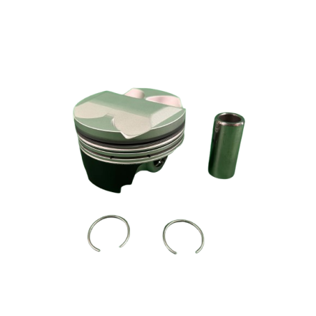 Piston Twingo R2 195