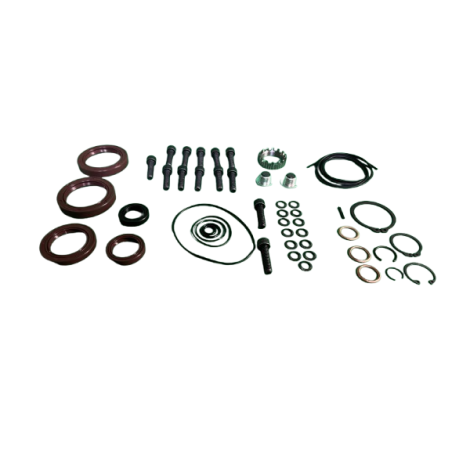 Pochette revision changement de couple Clio R3