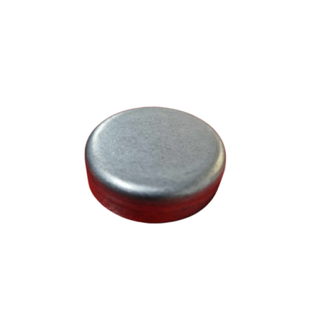 Bouchon de Culasse (Pastille de Déssablage) 38mm pour Renault Clio 2/3 RS et Mégane 2/3 RS