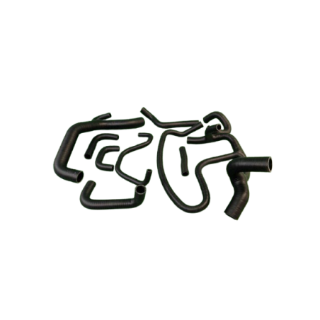 Kit 8 Durites Silicone Clio 16S/Williams