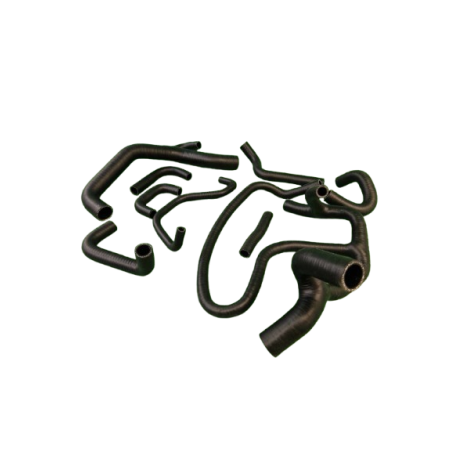 Kit 8 Durites Silicone Clio 16S/Williams