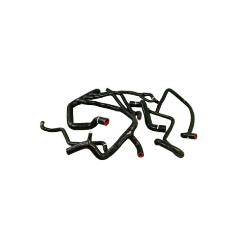 Complete Silicone Coolant Hose Kit Renault Mégane 2 RS
