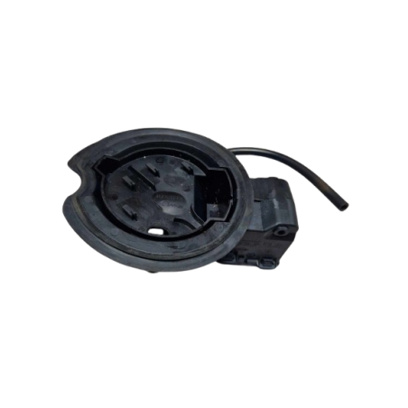 Renault Twingo 2 Fuel Filler Flap Housing (Genuine)