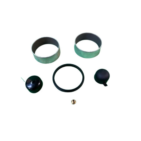 Cartouche AVD Ohlins Terre Clio GRN