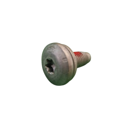 Renault Sport Steering Wheel Fixing Screw - RS