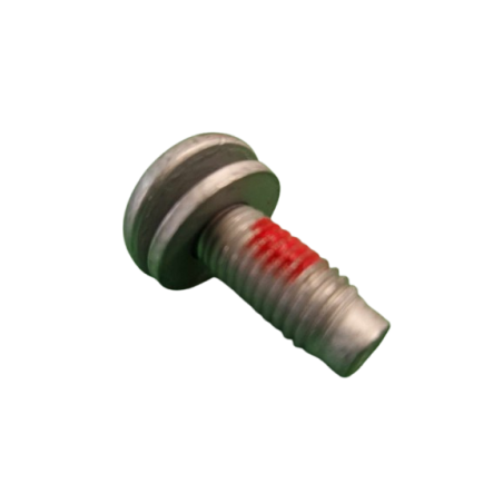 Renault Sport Steering Wheel Fixing Screw - RS