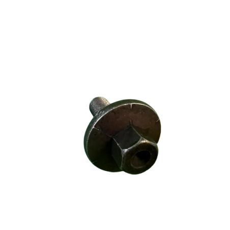 Vis poulie vilebrequin Megane 4 1.6 TCE