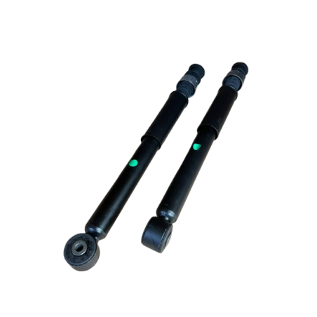 Amortisseurs Ar Clio 2 RS2 et Ragnotti ( la paire )