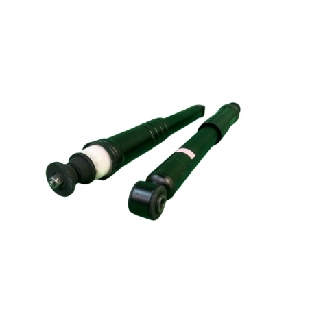 Amortisseurs Arrières Clio 3 RS2 chassis sport (la paire)